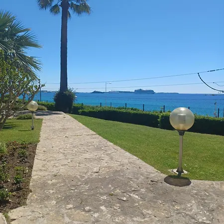 Vue Panoramique Chateau De La *